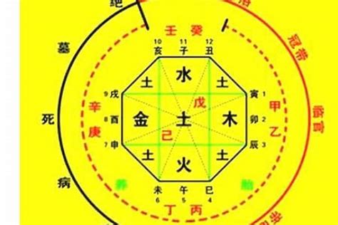 喜用神 金水|八字喜用金水注意什么意思 (八字喜用神金水是什么意思)